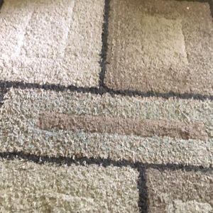 Meet your Posher, Jesse